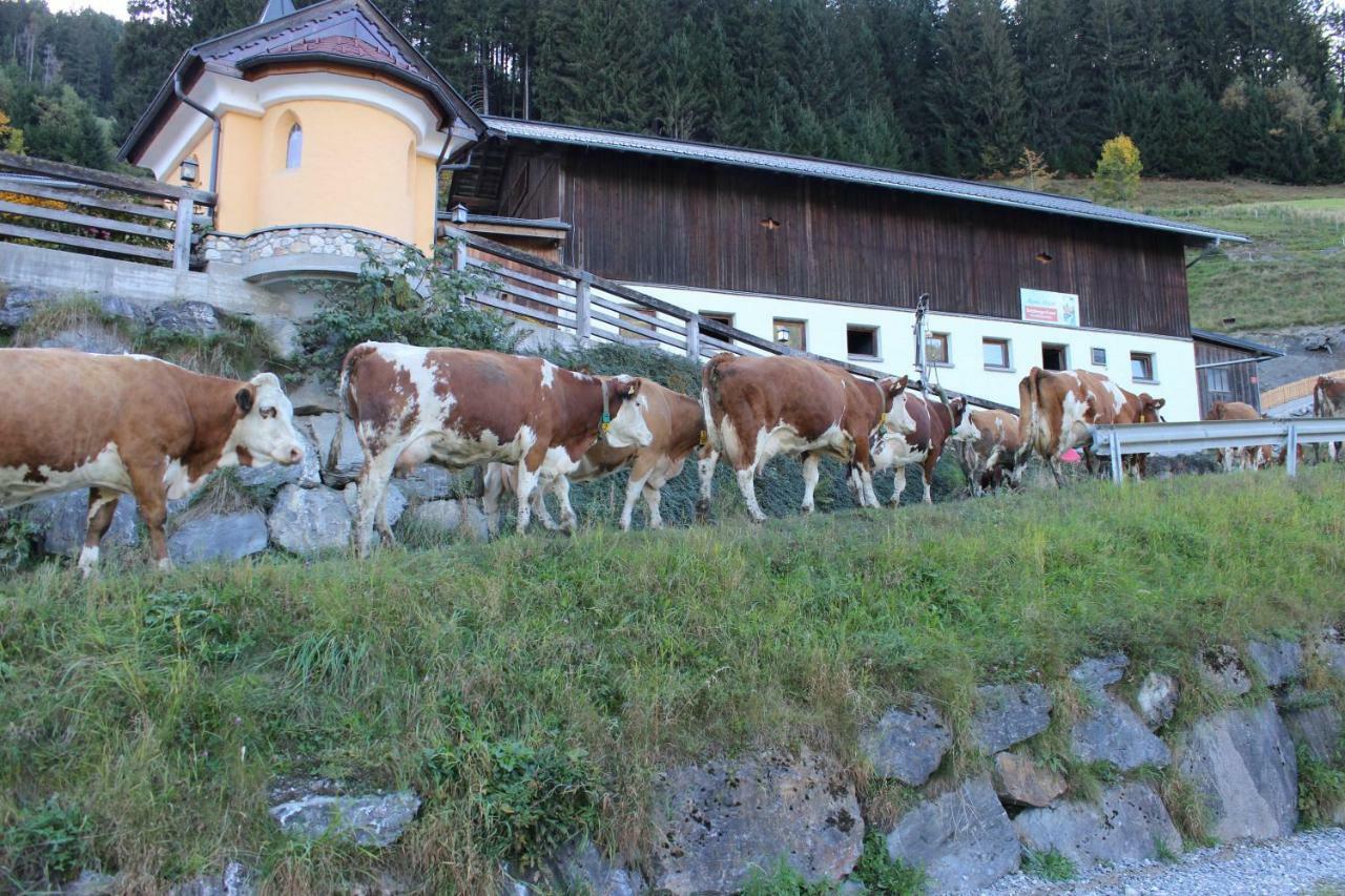 Appartmenthof Aigengut Ferienwohnung Grossarl Kültér fotó